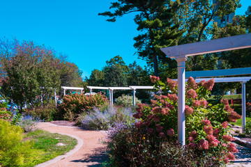 Flower garden in the park wit blue sky