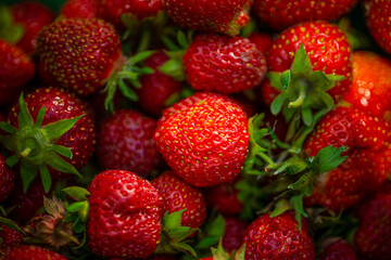 Fresh red ripe organic strawberry background. Close up, top view. Strawberry harvest season concept
