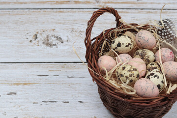 quail eggs in a basket, easter concept