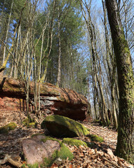 Felsenwanderweg (Rock Hiking Trail) in Rodalben near Pirmasens in Germany.