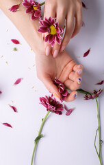 Fototapeta na wymiar Close-up of beautiful sophisticated female hands with pink flowers on a white background. Hand care concept, anti-wrinkle, anti-aging cream, spa