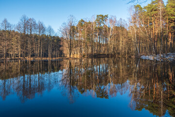 Landscape with bare trees and clear blue sky reflecting in the calm water on sunny spring evening
