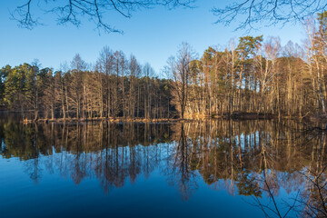 Fototapeta premium Landscape with bare trees and clear blue sky reflecting in the calm water on sunny spring evening 