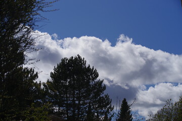 Obraz premium Wolkenhimmel