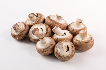Pilze: Eine kleine Menge Braune Champignons / Zuchtchampignons