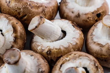 Braune Champignons - Nahaufnahme von Pilzen / Details