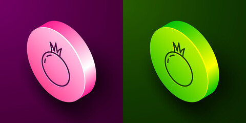 Isometric line Tomato icon isolated on purple and green background. Circle button. Vector
