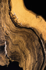 Golden slice of stone on black. Abstract liquid marble background or texture. Acrylic Fluid Art.