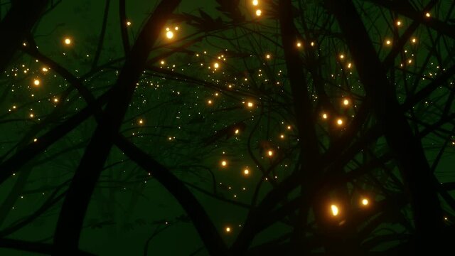 Fantasy dark green color foggy forest landscape scene with mystic firefly lights. 3D rendered loop animation