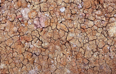 dry soil have no water texture for nature