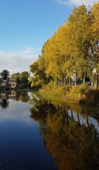 Autumn trees reflected in the clear water of a canal rowing-pond.