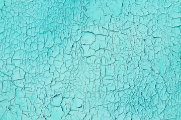 Old painted cracked blue plywood. Close-up. Background. Texture.