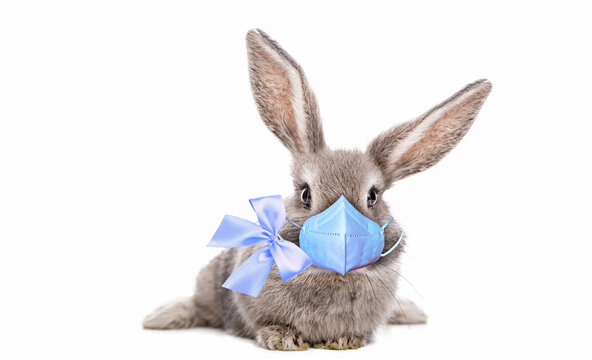 Portrait of cute bunny with eyelashes and beautiful eyes with bow and ffp 2 mask in light blue. Beautiful postcard.