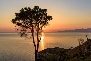 Fototapeta na wymiar Lonely tree on the cliff at Tyrrhenian Sea
