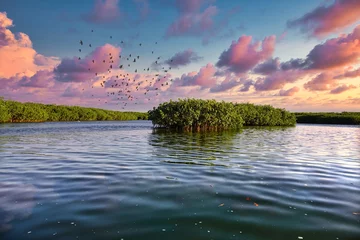 Lagune de la Somone au Sénégal  © Cyril PAPOT