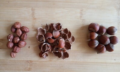 hazelnuts in shell, shell, peeled hazelnuts