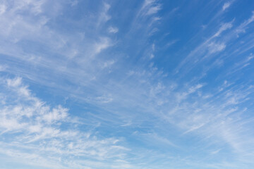 Fototapeta premium 東京の春空（６月）