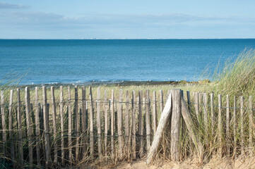 Ganivelle dans les dunes de l'île d'Oléron