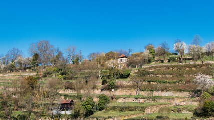 Blick hinauf zu einem mittelalterlichen Weinberg mit kleinem Häuschen vor strahlend blauem Himmel