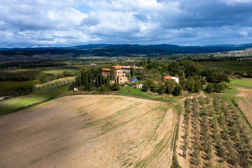 Fototapeta na wymiar Aerial view, estate with olives and cypress trees, Cinigiano, Grosseto Province, Tuscany, Italy