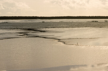 Baie de Somme, 80, Somme, Région Hauts de France