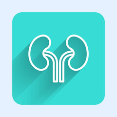 White line Human kidneys icon isolated with long shadow. Green square button. Vector