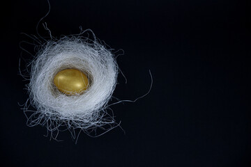 egg on black background