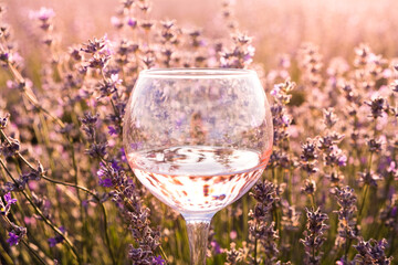 Infinite lavender fields, with purple and violet flowers. Closeup