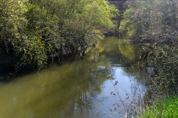 chemin de randonnée, rivière, L’Orge, Juvisy sur Orge, Essonne, 91