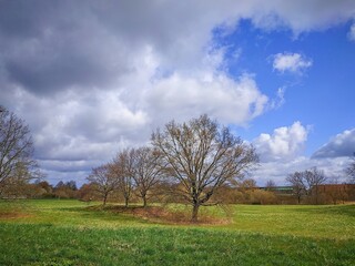 Obraz premium Frühling in Hannover Bemerode.