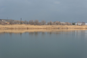 sunny landscape of reeds and sky on the lake, in reflection. Art landscape on a sunny day