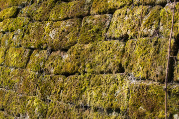 Blick auf eine alte, mitelalterliche, mit Moos überwucherte Mauer aus Natursteinen