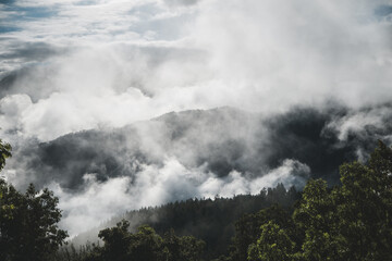 paysage nuageux en montagne