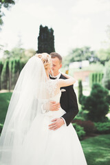 Fototapeta premium Romantic, fairytale, happy newlywed couple hugging and kissing in a park, trees in background