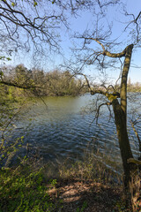 La Fosse aux Carpes, Réserve naturelle, Draveil, 91, Essonne