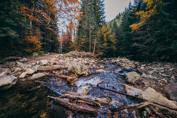 A waterfall in a forest a mountain