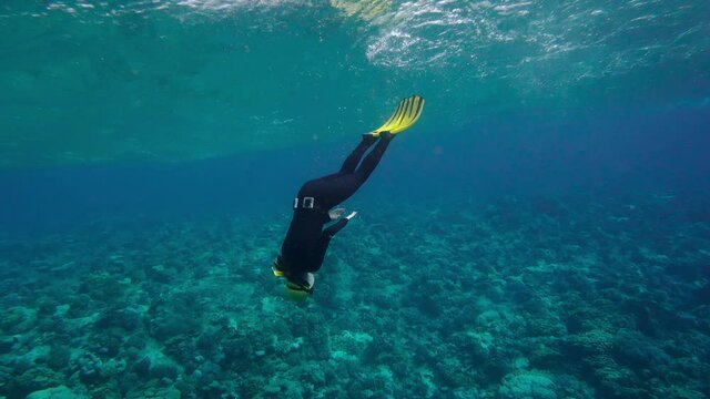Girl in scuba diving suit moving freely under water. Scuba diving suit and fins. Incredible beauty of the underwater world. Depth and clear clear water. Concept of unusual relaxation and harmony