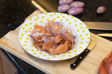 Plate with shells of onions