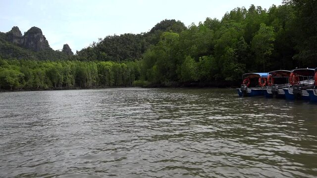 boat trip in mangrooves forest in malaysia.