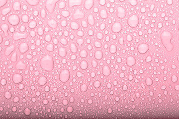 Drops of water on a color background. Selective focus. Pink. Toned