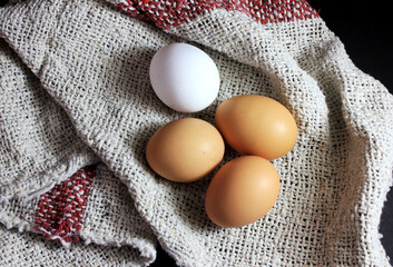 One White Egg and Three Brown Eggs