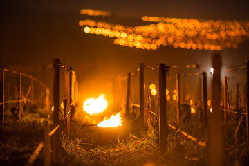 Lutte contre le gel de printemps dans les vignes de Chablis en Bourgogne - Technique des bougies ou chaufferettes (2016)