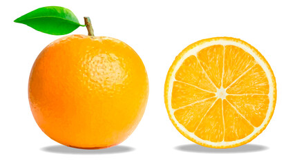 オレンジ　1個と輪切り別々のイラスト