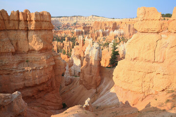 Amphitheatre in Bryce Canyon National Park, Utah, USA