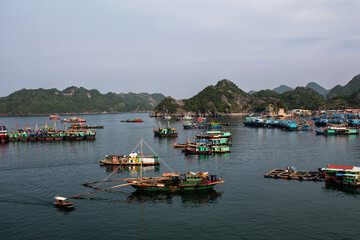 Port on Cat Ba Island, North Vietnam