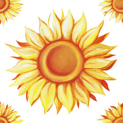 Sunflower pattern botanical floral seamless pattern, wild meadow sunflower, isolated on white background, for book, cover, banner, textile, wrapping. Hand painted flowers