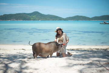 Asian woman tourist feeding fruit for pig at Koh Mad Sum (Mad Sum Island or Pigs Island) small island near Koh Samui Island, Thailand.