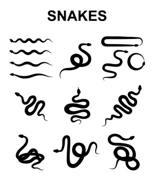 Snake Vector Icon, Viper Symbol, Serpent Sign