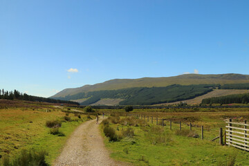 Sunny day in the Highlands on the way to Aviemore