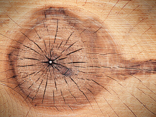 Saw cut wood background. Section of tree with annual growth rings and cracks. Wooden pattern